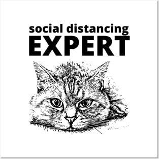 Social distancing expert Posters and Art